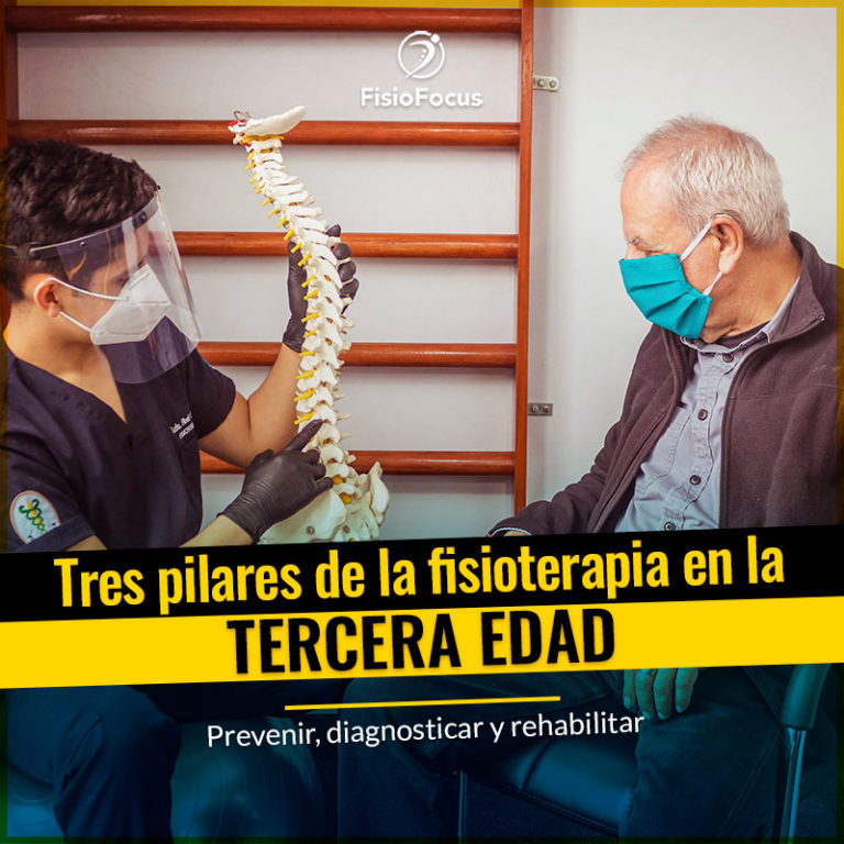 Fisioterapia: Importancia Y Beneficios En El Adulto Mayor – FisioFocus