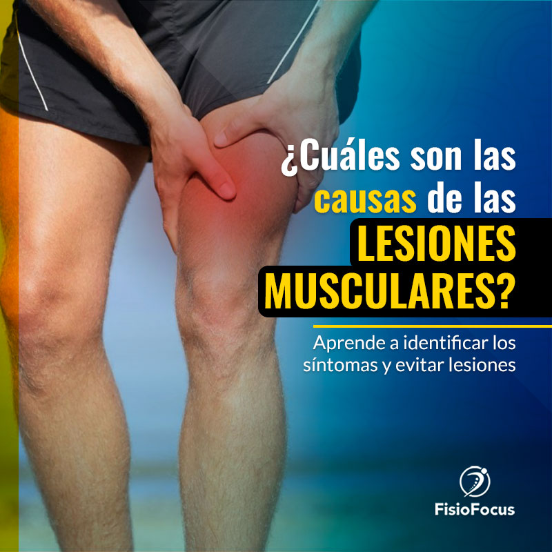 Carretilla Miseria Conveniente Lesiones musculares: ¿Qué son? ¿Cómo prevenir? – FisioFocus